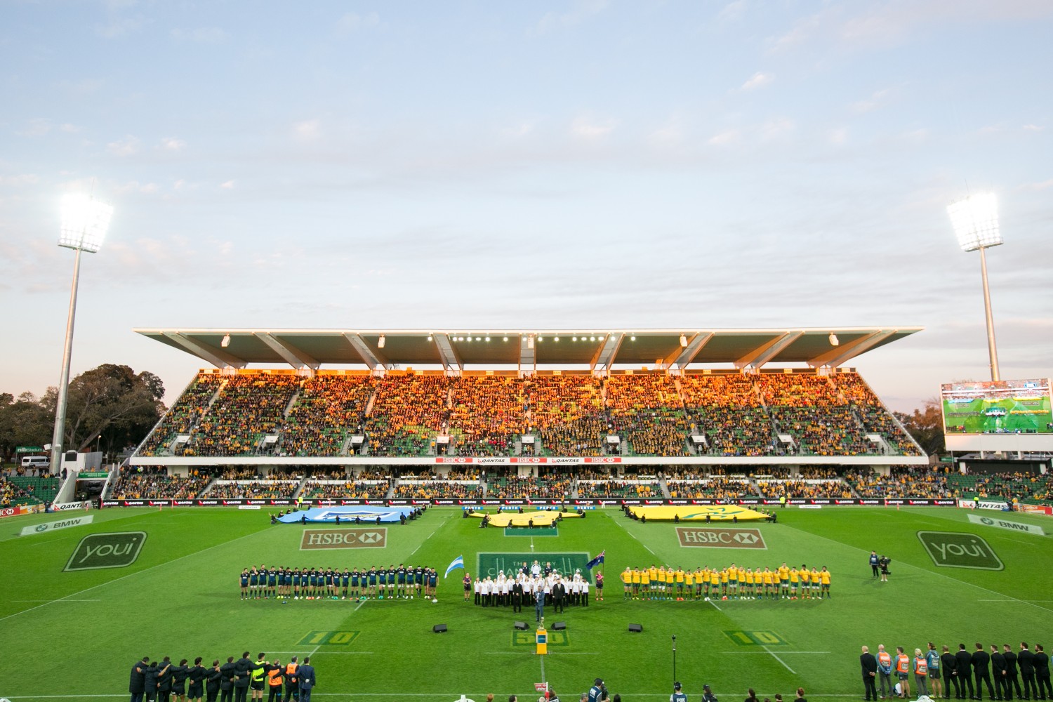 Wallabies v Argentina